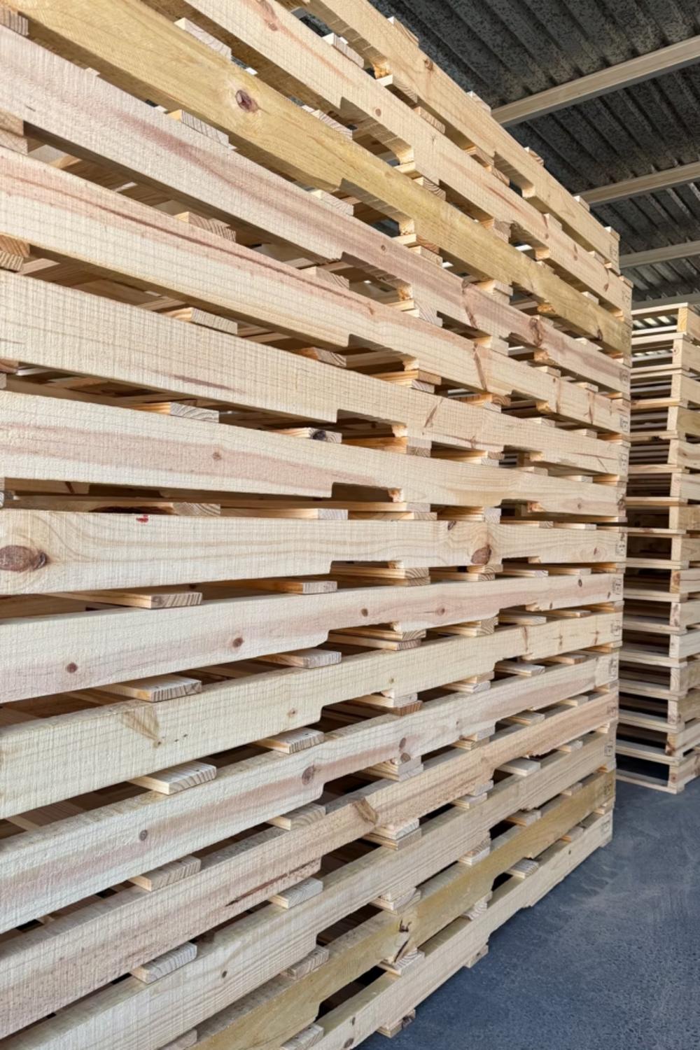 Pilas de tarimas de madera nuevas apiladas en la planta de Grupo Tarmex